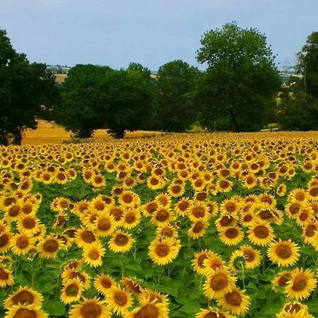 Au Garcin Bed & Breakfast