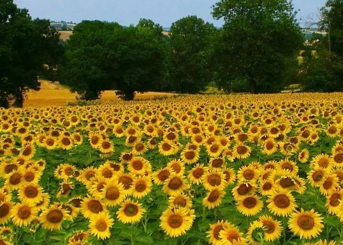 Au Garcin Frühstückspension